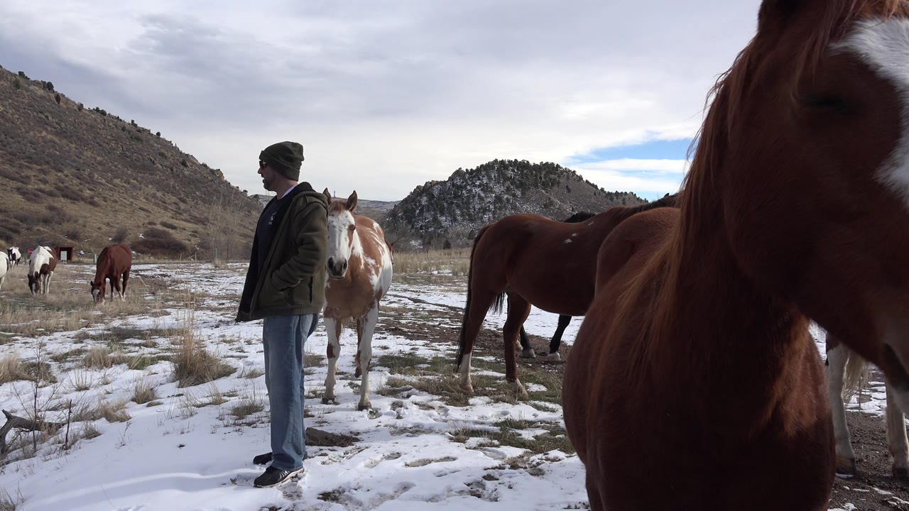 Man standing near horses in snowy grass below rocky hills.