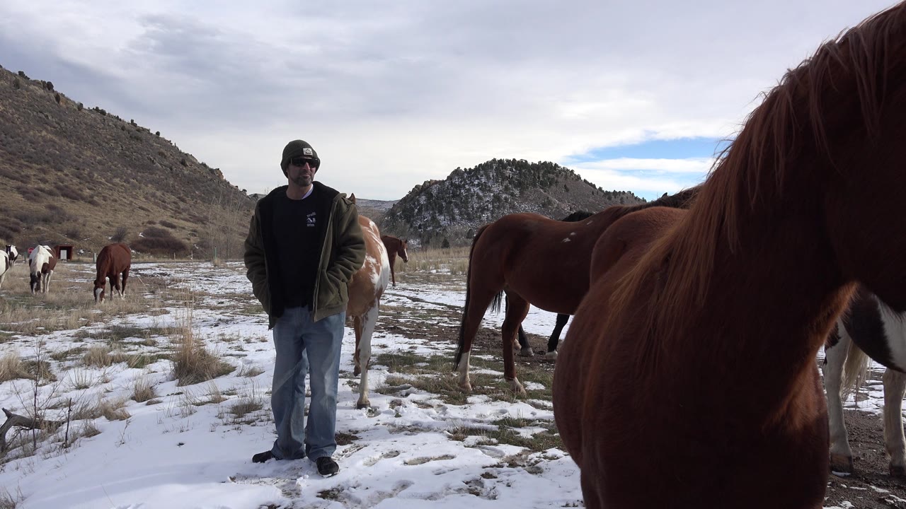Man facing camera while horses stand in snowy mountain grassland.