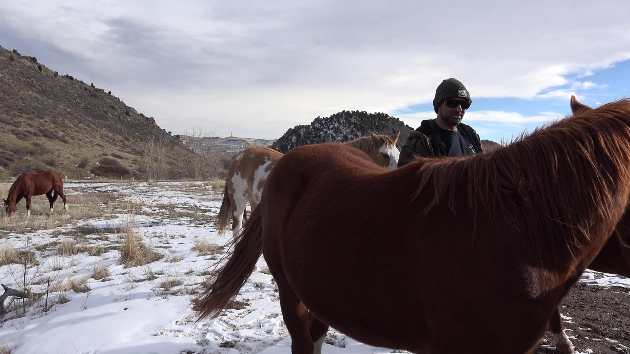 Chestnut horse close to camera with a man and other horses in snowy foothills.