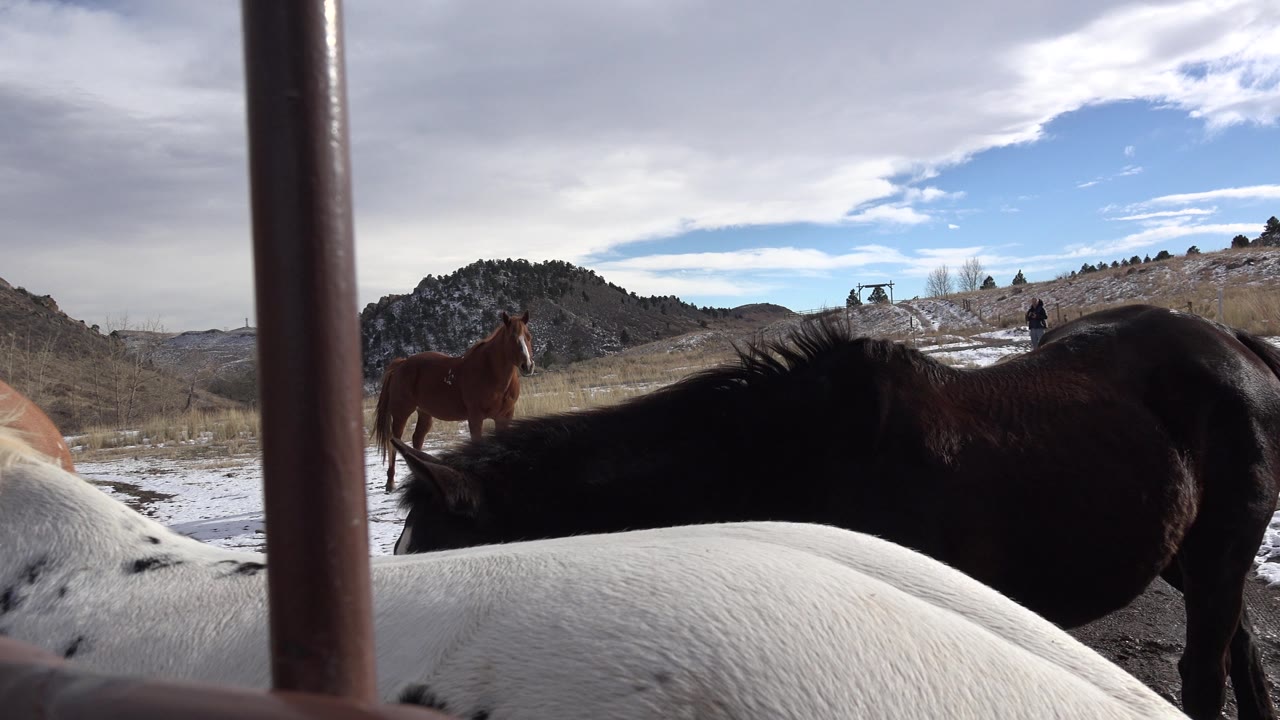 Horses gathered by a fence with hills and sky beyond.