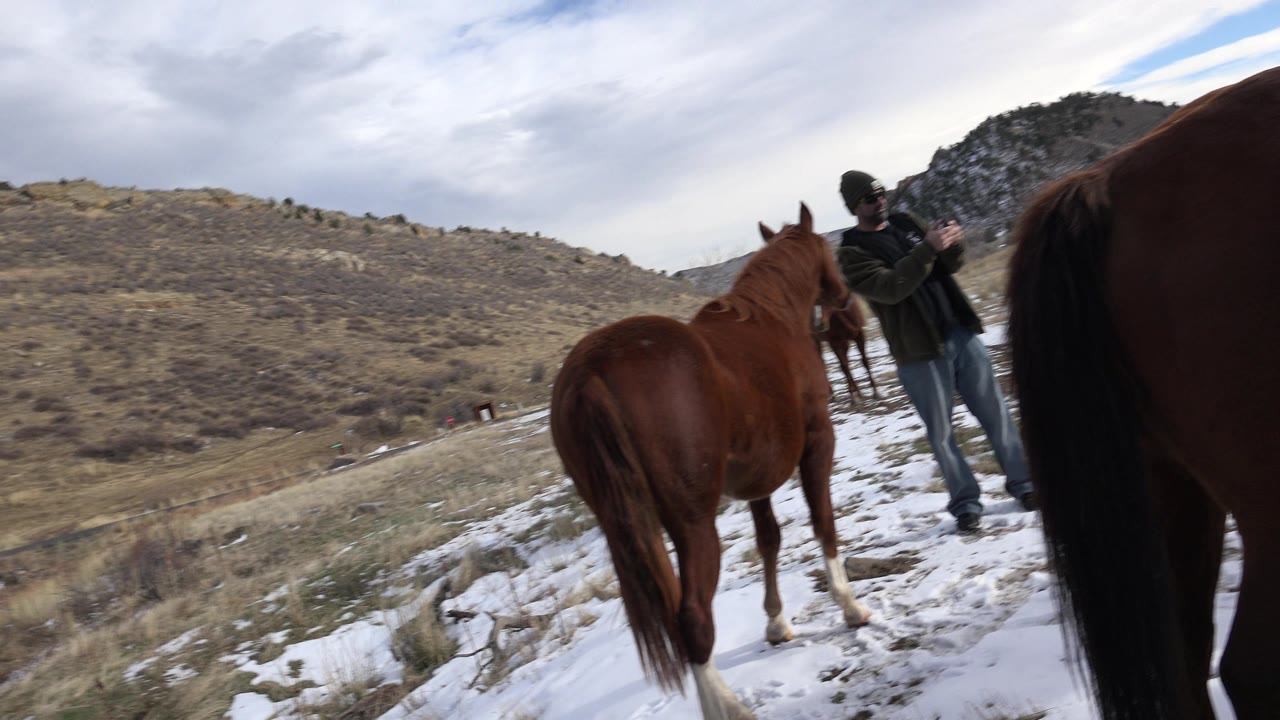 A brown horse faces away on snowy ground in Golden, Colorado, while a distant handler stands near another horse below clouded foothills.