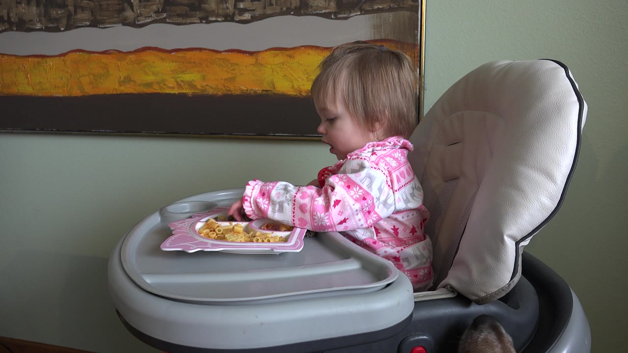 Baby in a high chair eating from a tray with a dog partly visible below.