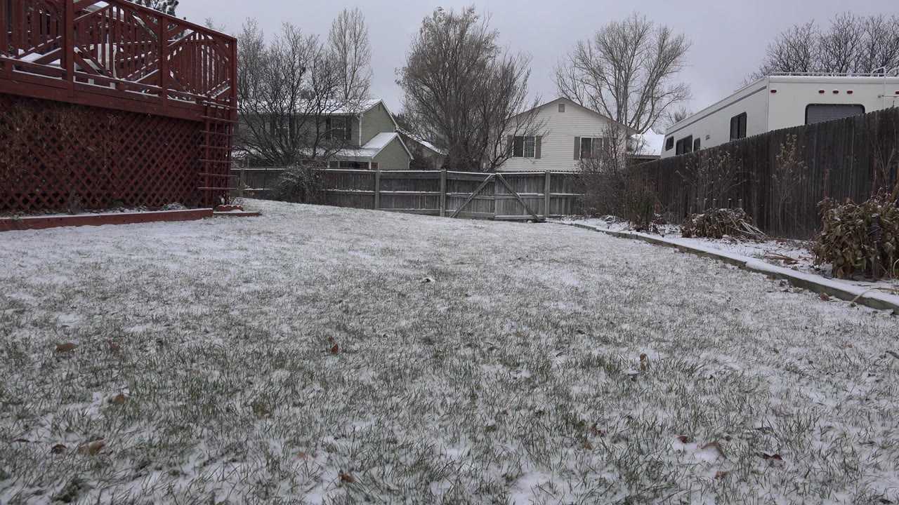A Westminster, Colorado backyard shows thin snow over grass, a red deck at left, fences, bare trees, neighboring houses, and no visible people at the start of the clip.