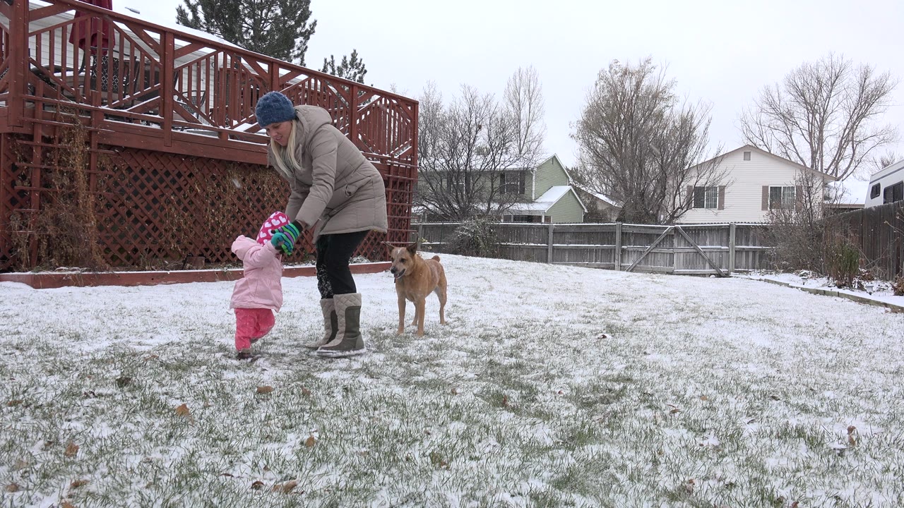 Adult steadies a toddler in pink winter clothes on a snowy backyard lawn near a tan dog.