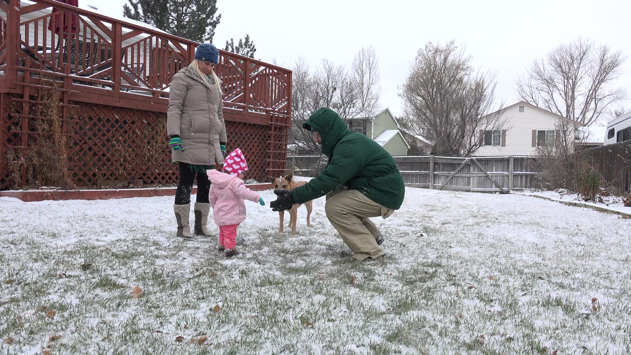 Toddler in pink winter clothes faces a small brown dog between two adults in a snowy backyard.