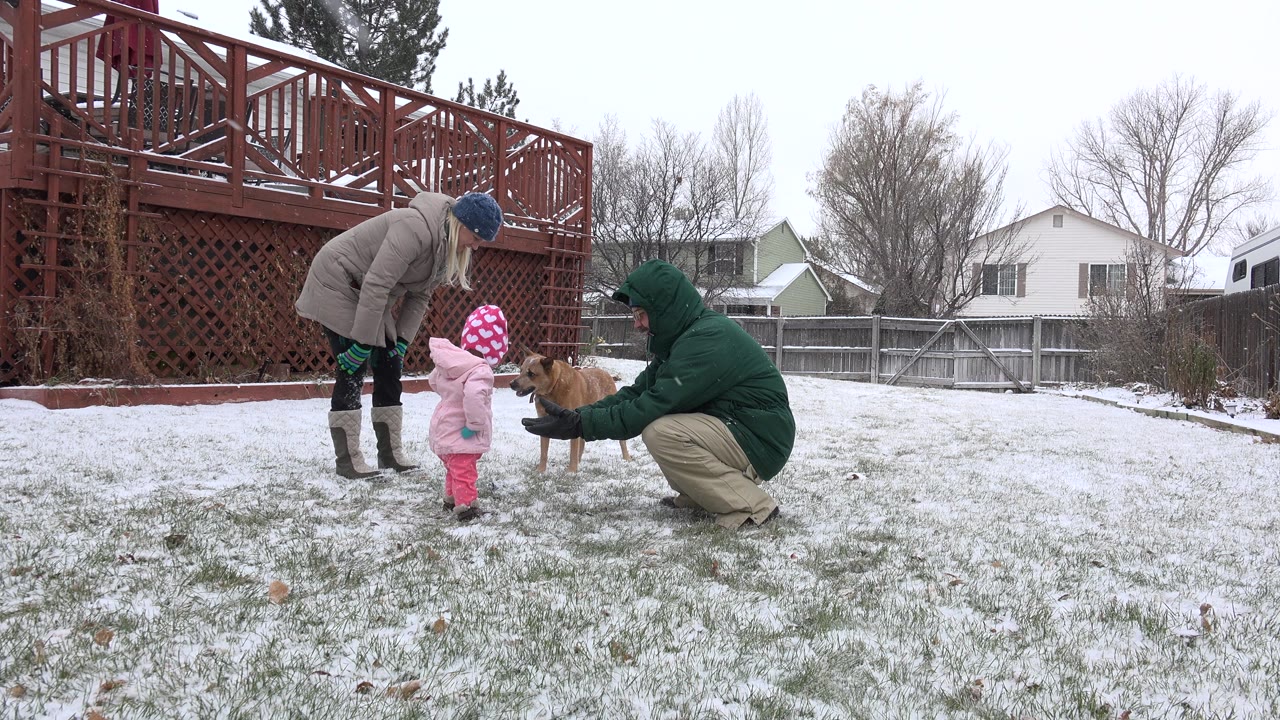 Two adults, a small child, and a brown dog on a snowy backyard lawn.