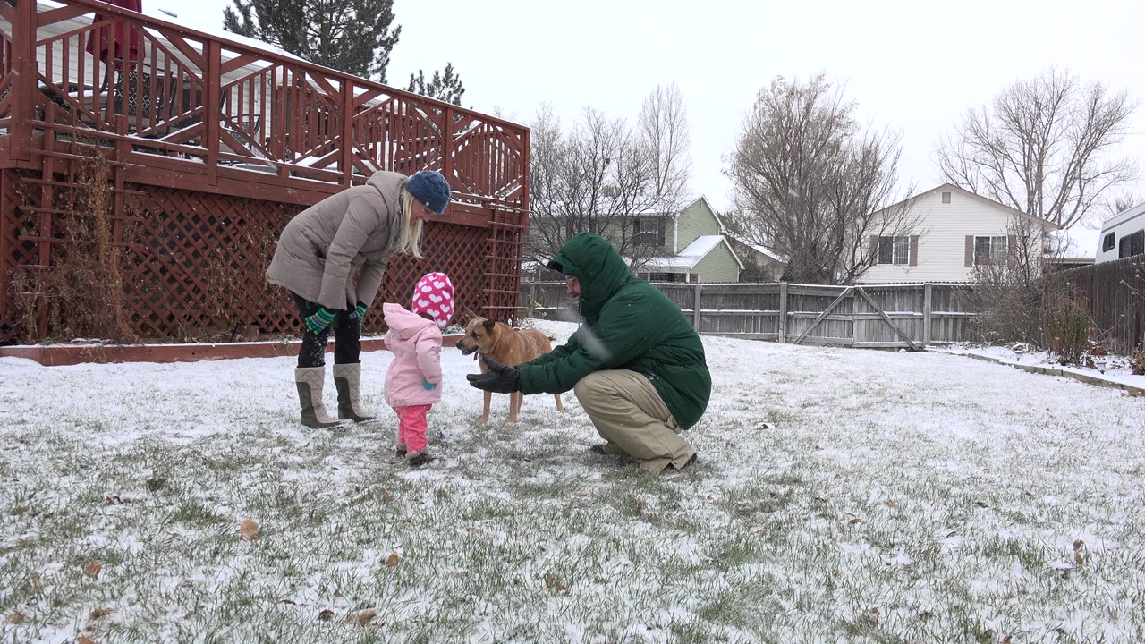 In Westminster, Colorado, the child stands close to the brown dog as one adult bends from the left and another crouches at the dog's side in the snowy yard.