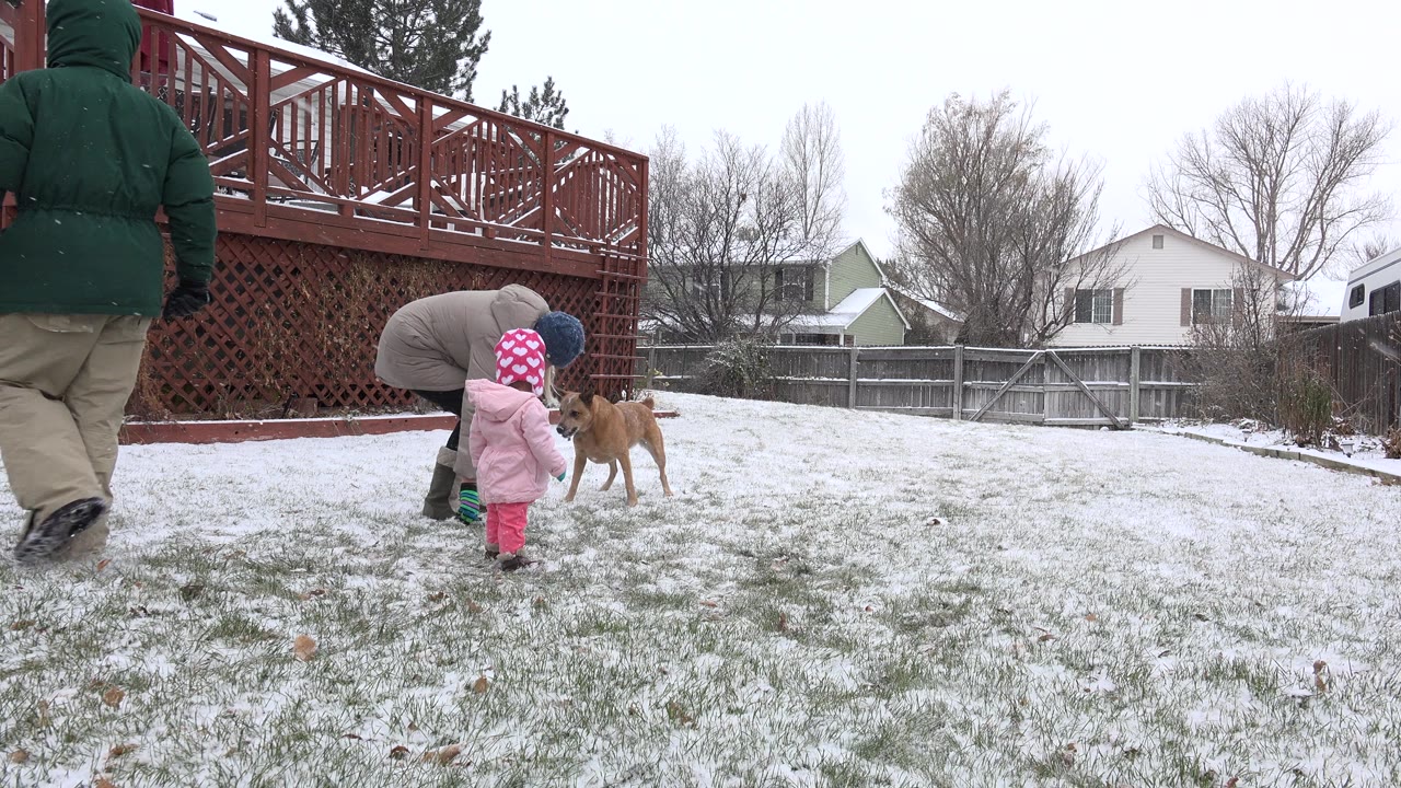 Adults, child, and tan dog in a snowy fenced backyard.