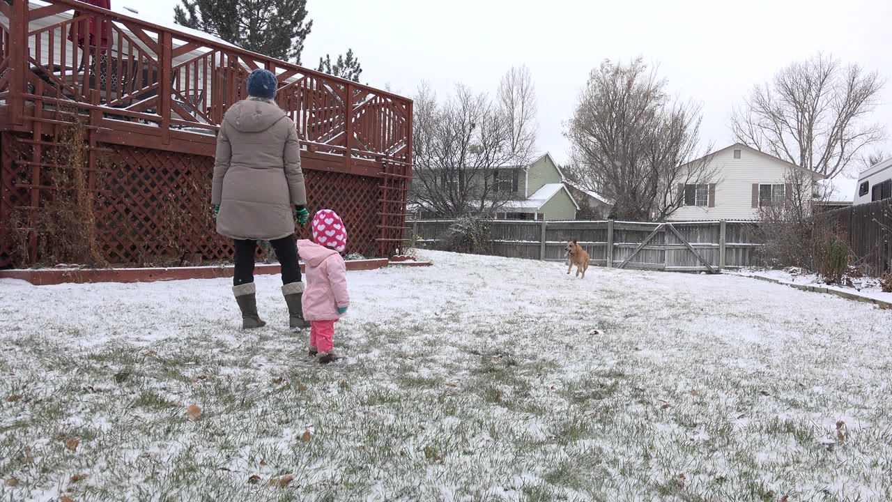 Woman and child watch a tan dog entering the snowy yard.