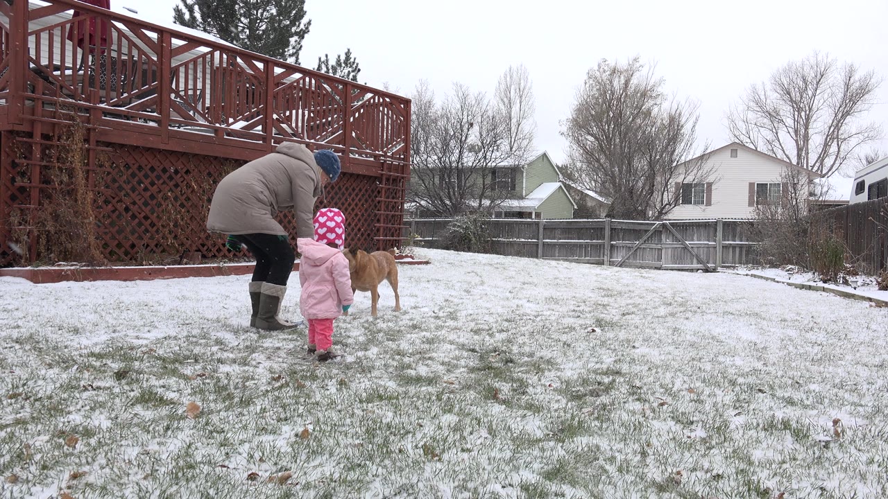 Adult bends near a child while a tan dog stands nearby.