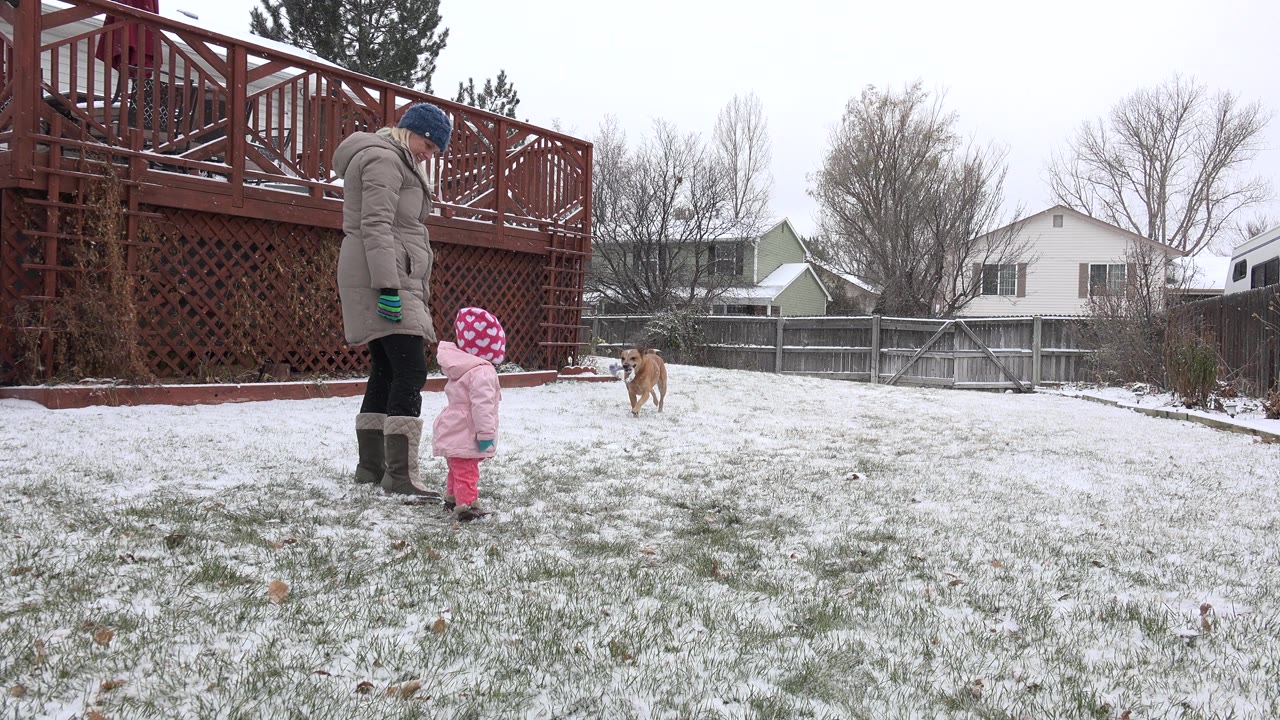 In Westminster, Colorado, a bundled woman and small child stand near the left side of a snowy fenced backyard while a tan dog waits in the midground.