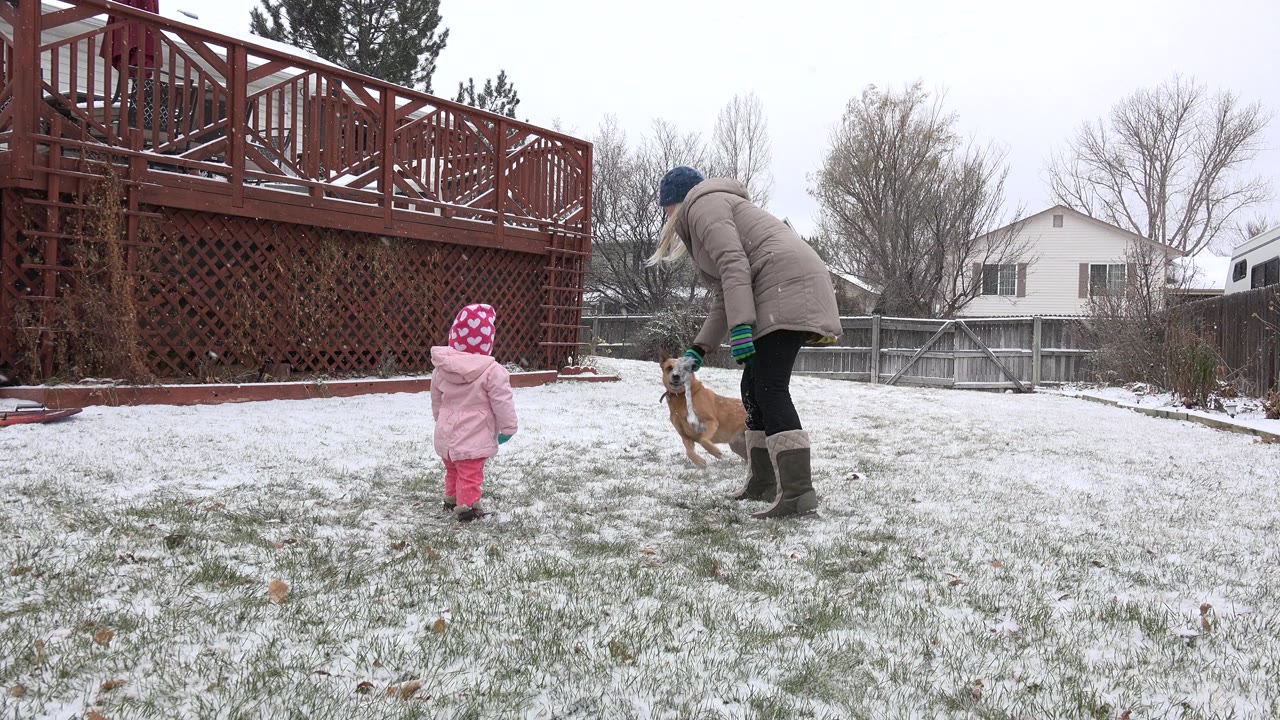 In Westminster, Colorado, a bundled mother bends toward a tan dog while a small child in pink winter clothes stands on a lightly snow-covered lawn near a red deck.