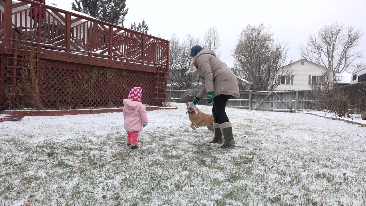 In Westminster, Colorado, the child faces the mother and tan dog on the snowy lawn, with the red deck along the left side and neighboring houses beyond the fence.