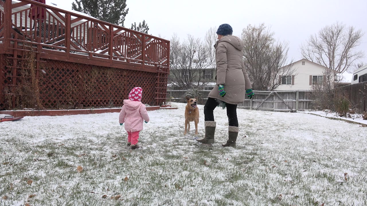 Toddler and adult face a brown dog in a snowy backyard.