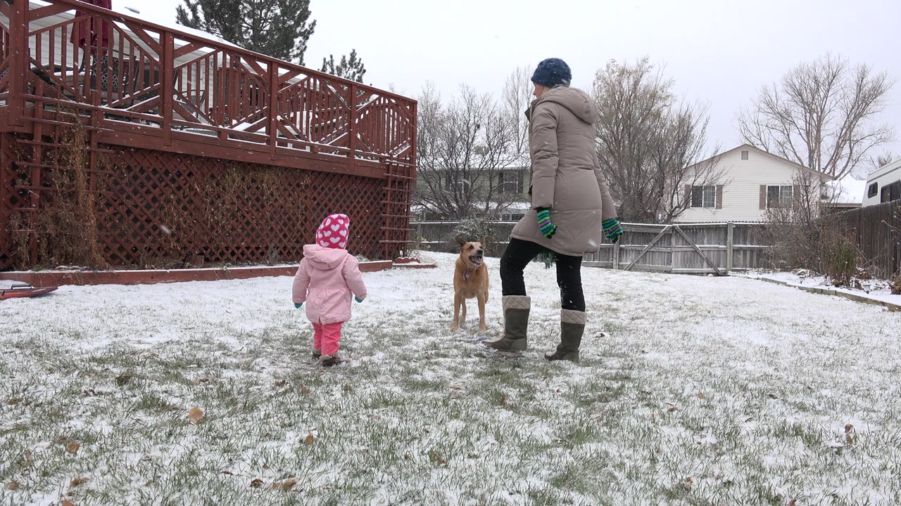 In Westminster, Colorado, the toddler stands farther back while the adult in a tan coat faces the brown dog across the lightly snow-covered backyard.