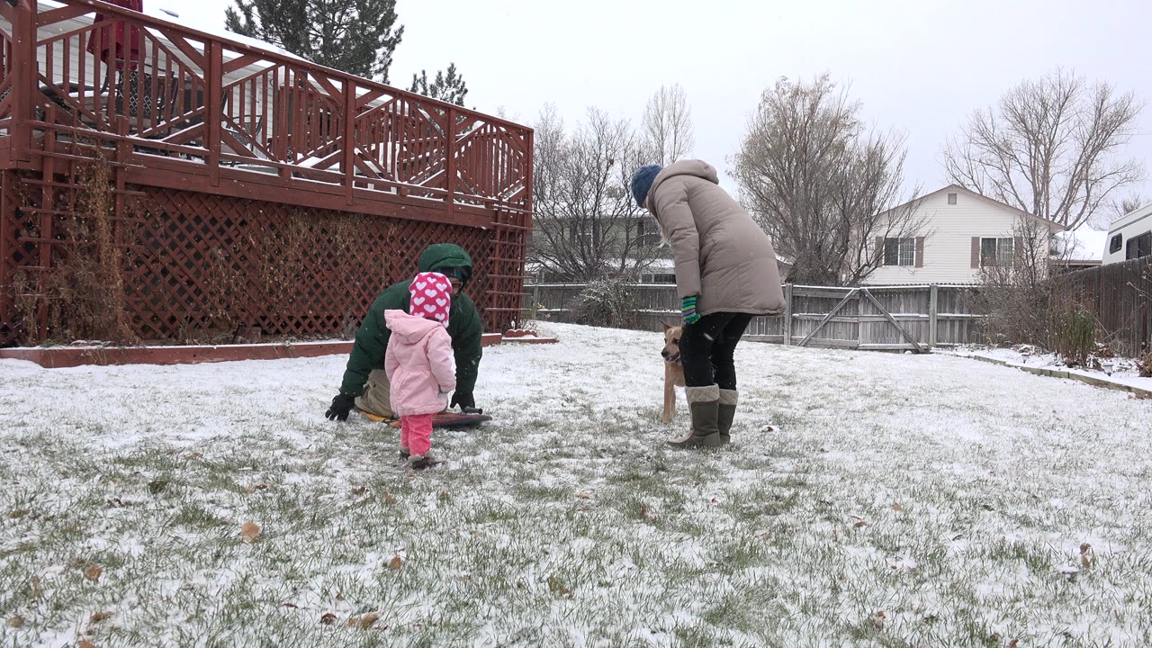 Two adults, a toddler, and a dog in a snowy backyard near a sled.