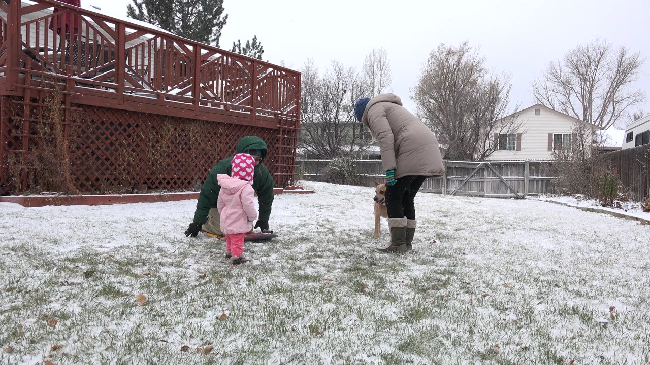 In Westminster, Colorado, the toddler faces the small sled while one adult bends near the dog and another stands to the right, with snowy grass, a red deck, fences, and homes behind them.