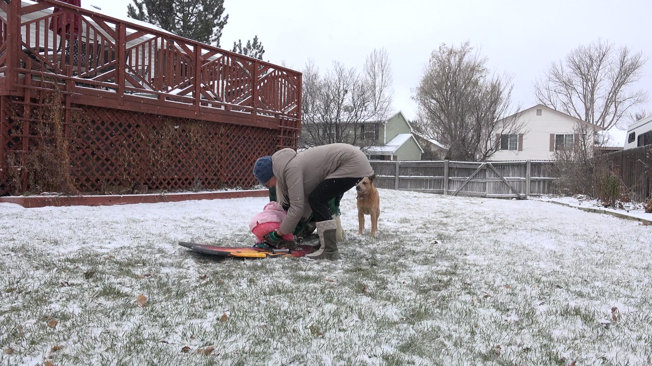 In Westminster, Colorado, two bundled adults lean over a toddler in pink winter clothes beside a small sled, with a tan dog standing near a snowy backyard fence.
