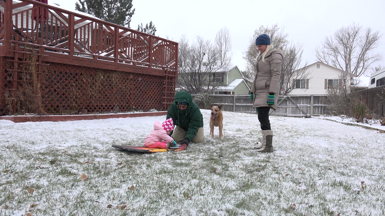 In Westminster, Colorado, the child remains seated on the sled as a hooded adult kneels close, the tan dog stands behind them, and another bundled adult watches from the right side of the yard.