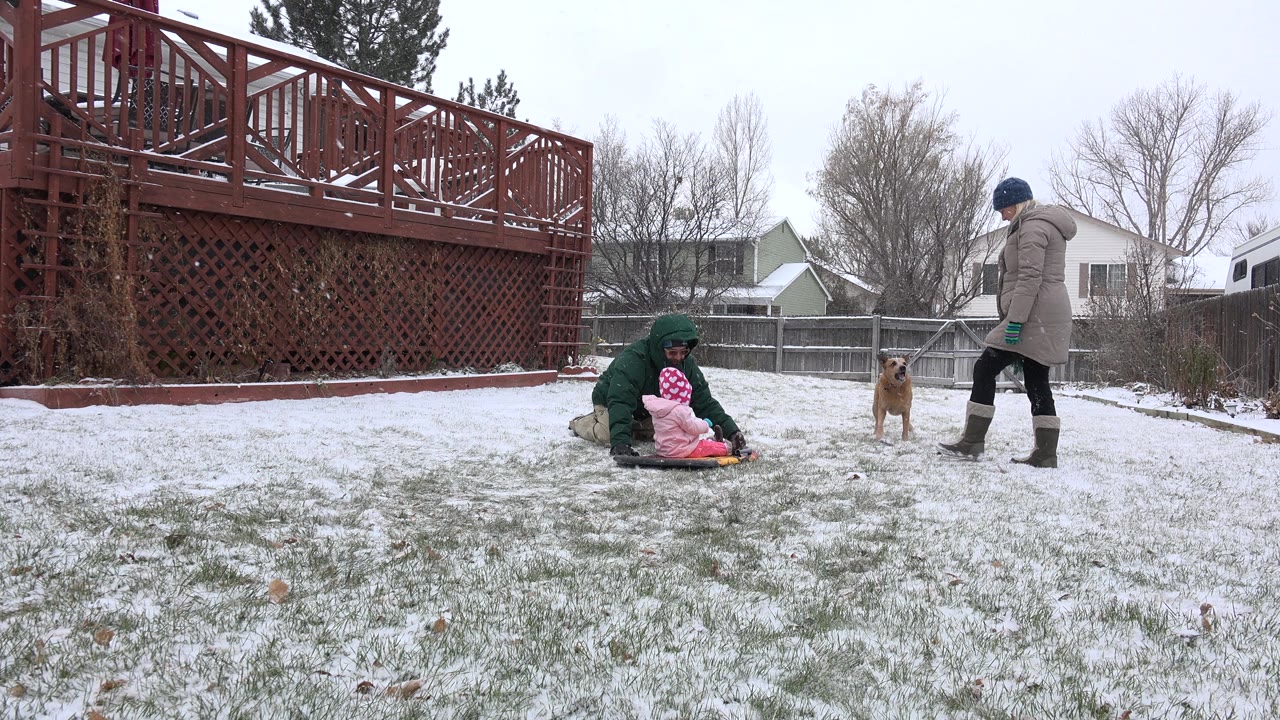 Child on a sled with adults and a dog in a snowy backyard.