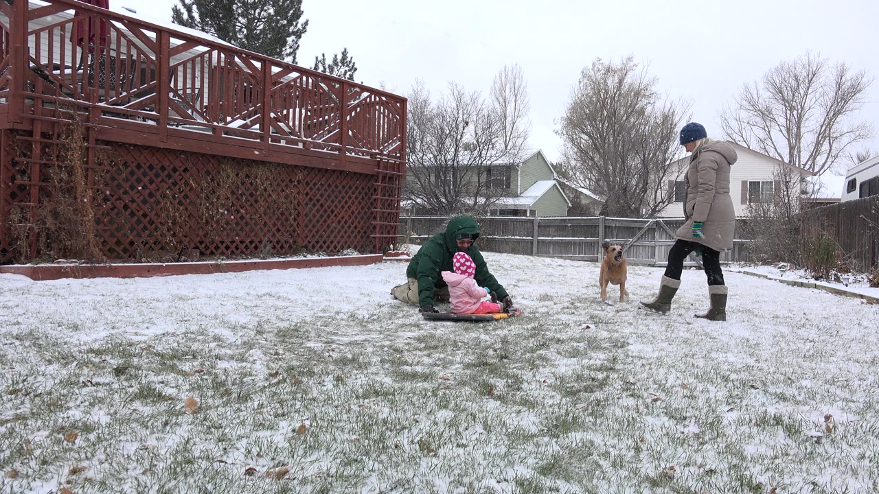 In Westminster, Colorado, the child remains seated on the sled as the kneeling adult faces them, the standing adult looks toward the dog, and the snowy yard stretches beneath a red deck and bare trees.
