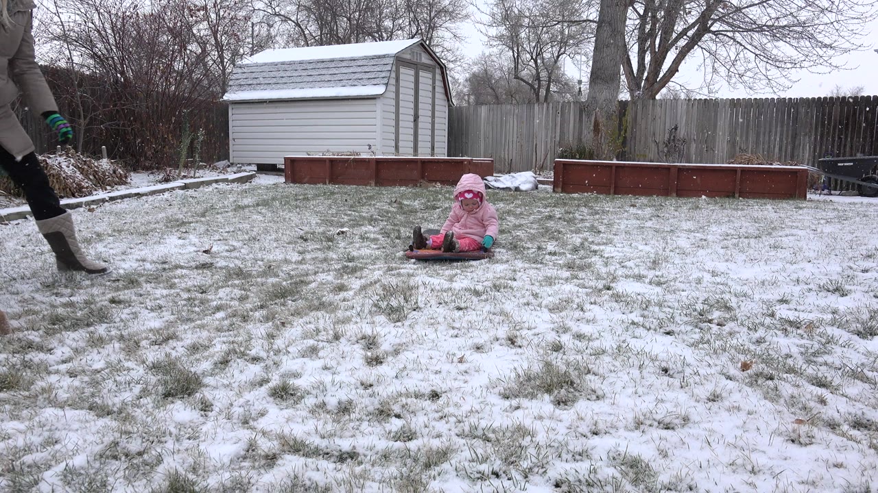 In Westminster, Colorado, the toddler remains seated near the center of the snowy backyard with the white shed, wood fence, bare trees, and red garden beds behind.