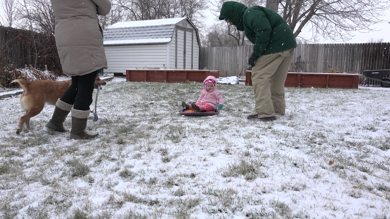 Child on a sled in a snowy backyard with adults and a dog nearby.