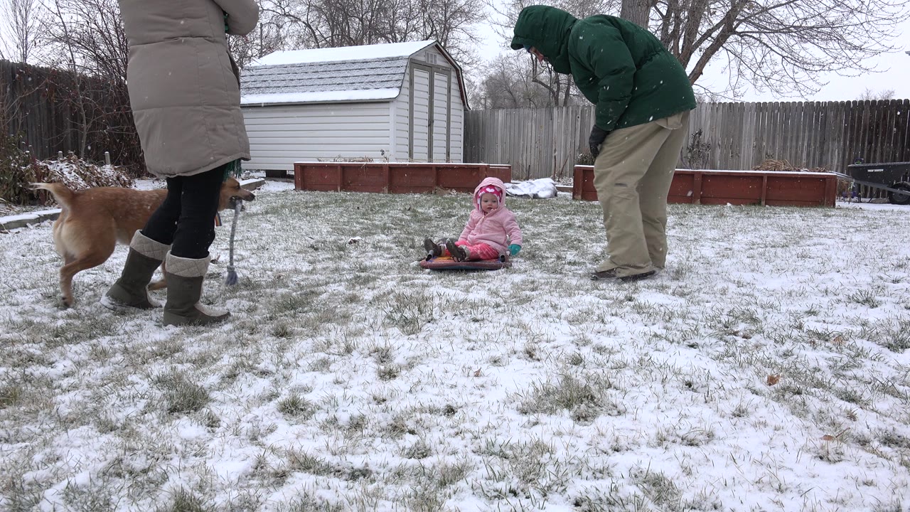 In Westminster, Colorado, the brown dog moves across the snowy foreground while the child remains seated on the sled and the man in the green hooded jacket leans toward the child.