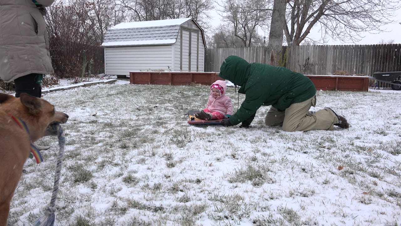 In Westminster, Colorado, the child remains seated on the sled while the kneeling adult reaches toward the sled, with a partial dog and standing adult at the left edge.