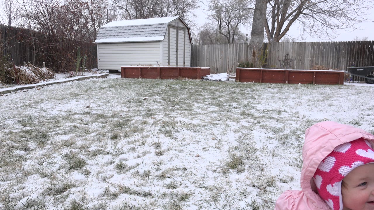Snowy fenced backyard with shed and garden beds