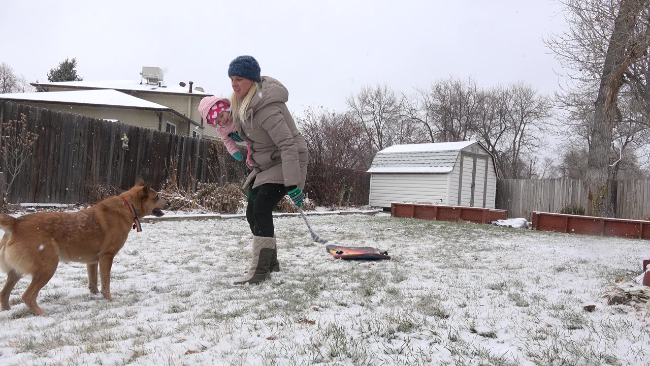 In a Westminster, Colorado backyard, a woman in winter clothing holds a small child while a brown dog stands near them on snow-dusted grass.