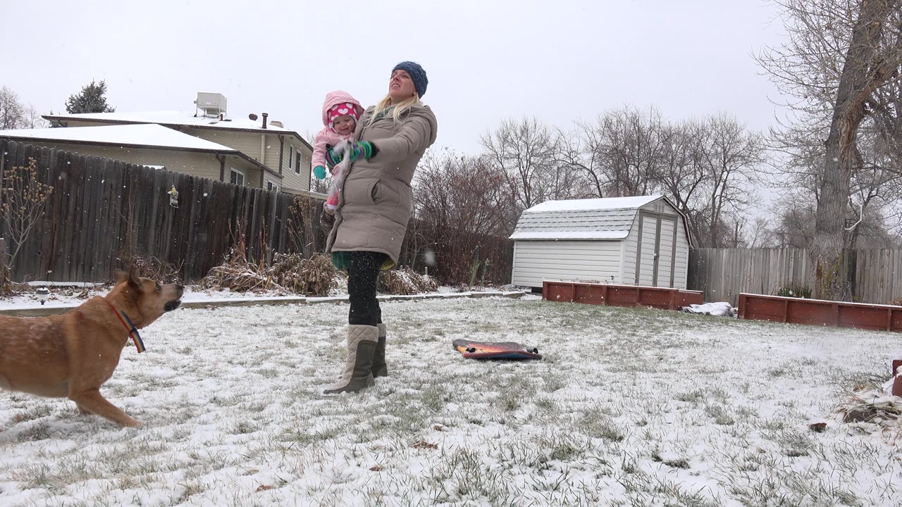 Dog runs across a snowy yard as a woman holds a child.