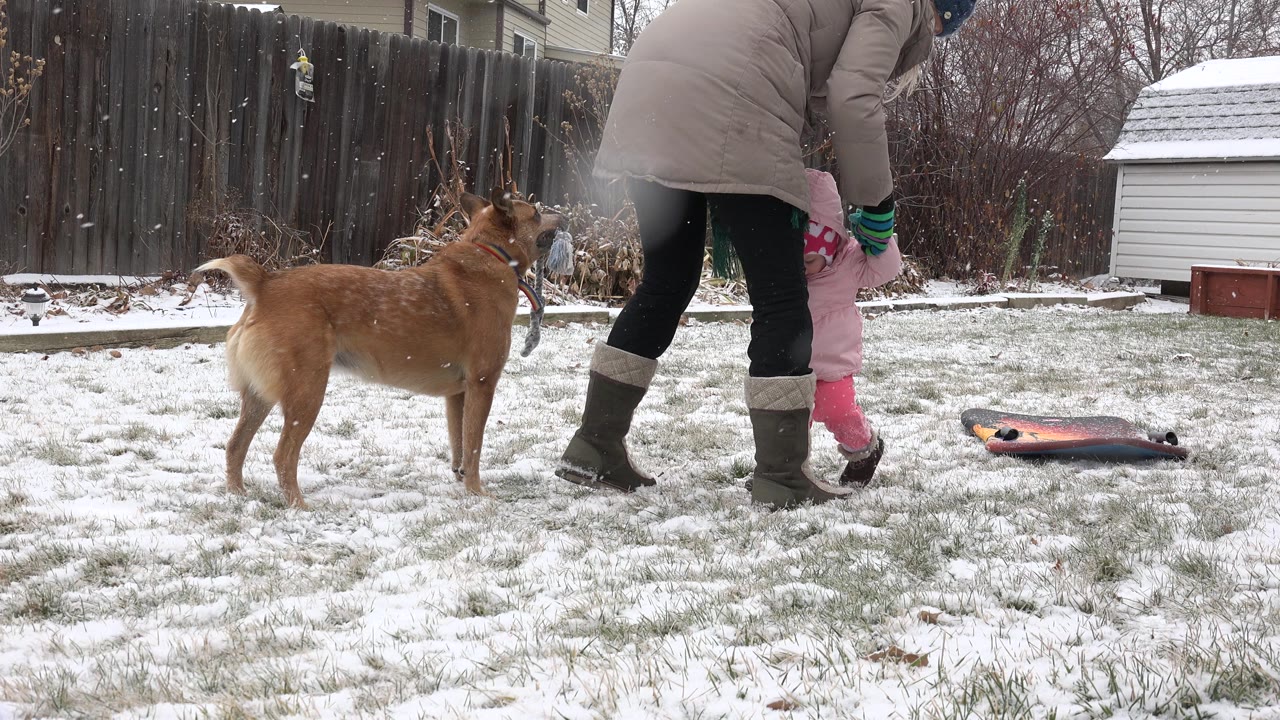 In Westminster, Colorado, the adult bends toward the toddler in pink as the brown dog looks on from the snowy grass, with a shed and backyard fence behind them.