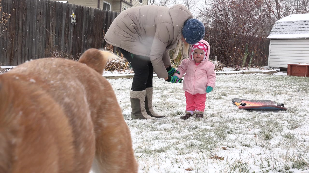 Dog in the foreground with an adult helping a toddler in snow behind it.