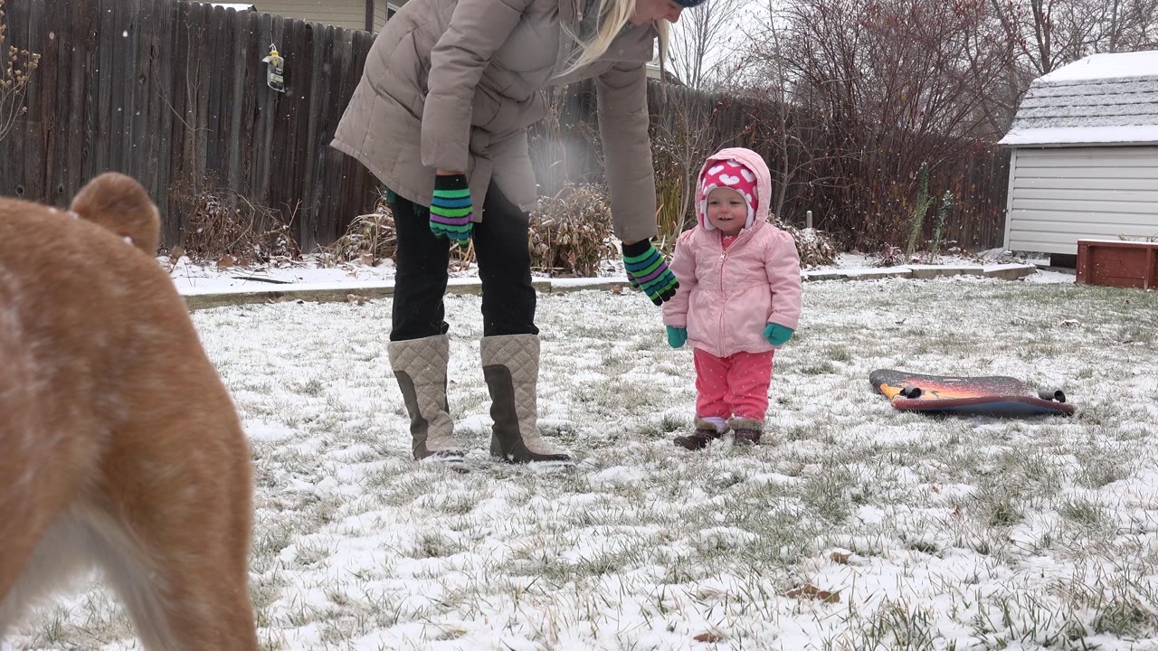 Brown dog partly in foreground near adult and toddler in snowy backyard
