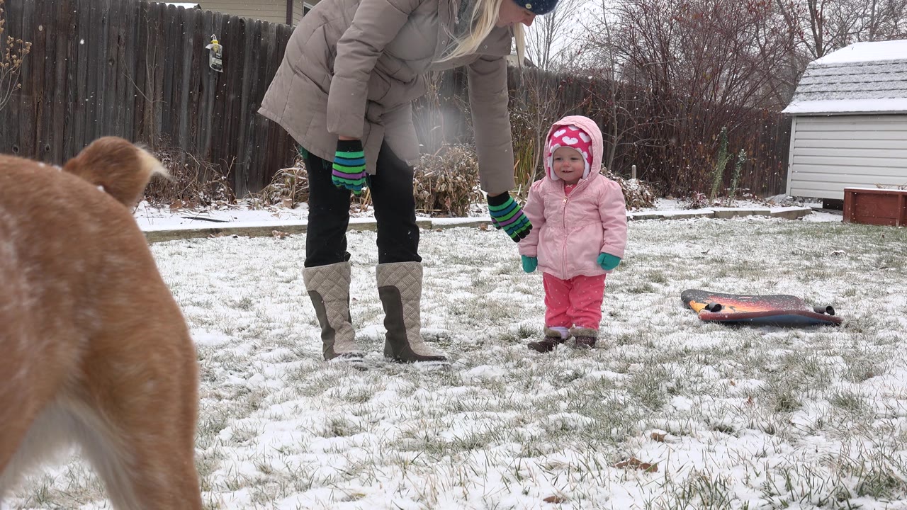 At 0:01 in Westminster, Colorado, the toddler faces forward in the snowy yard while the adult bends nearby and the brown dog remains blurred at the left foreground.
