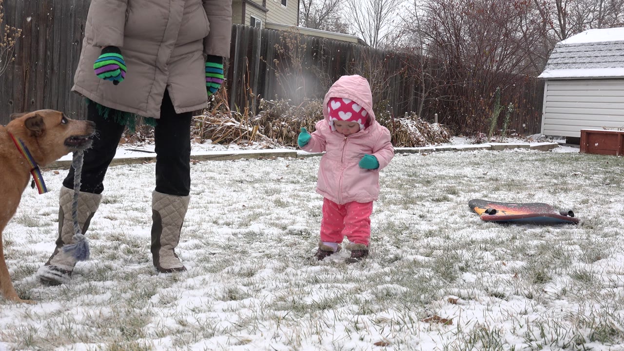 Toddler in pink winter clothes stands in snowy yard beside an adult and dog.