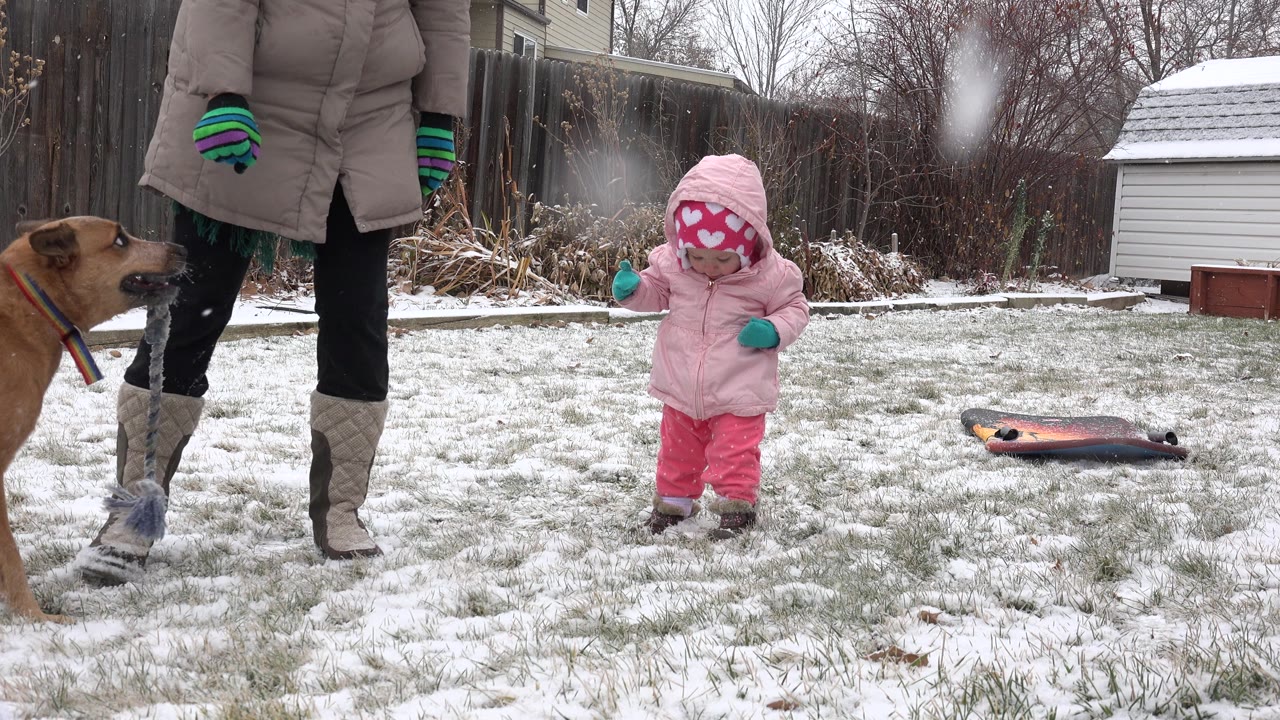 In Westminster, Colorado, the toddler remains centered in the snowy yard as the brown dog stands closer to the adult's boots on the left.