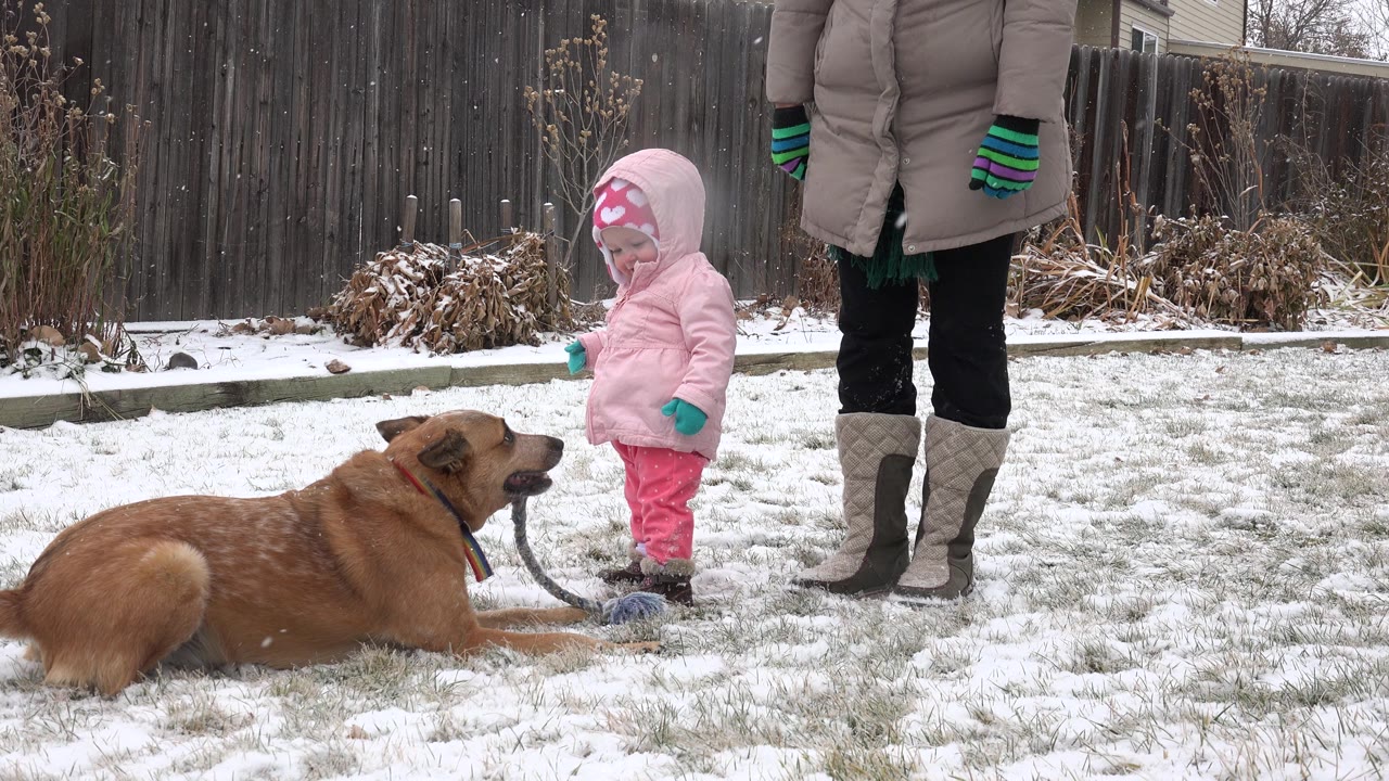 Tan dog lying in snowy yard near a bundled child and adult.