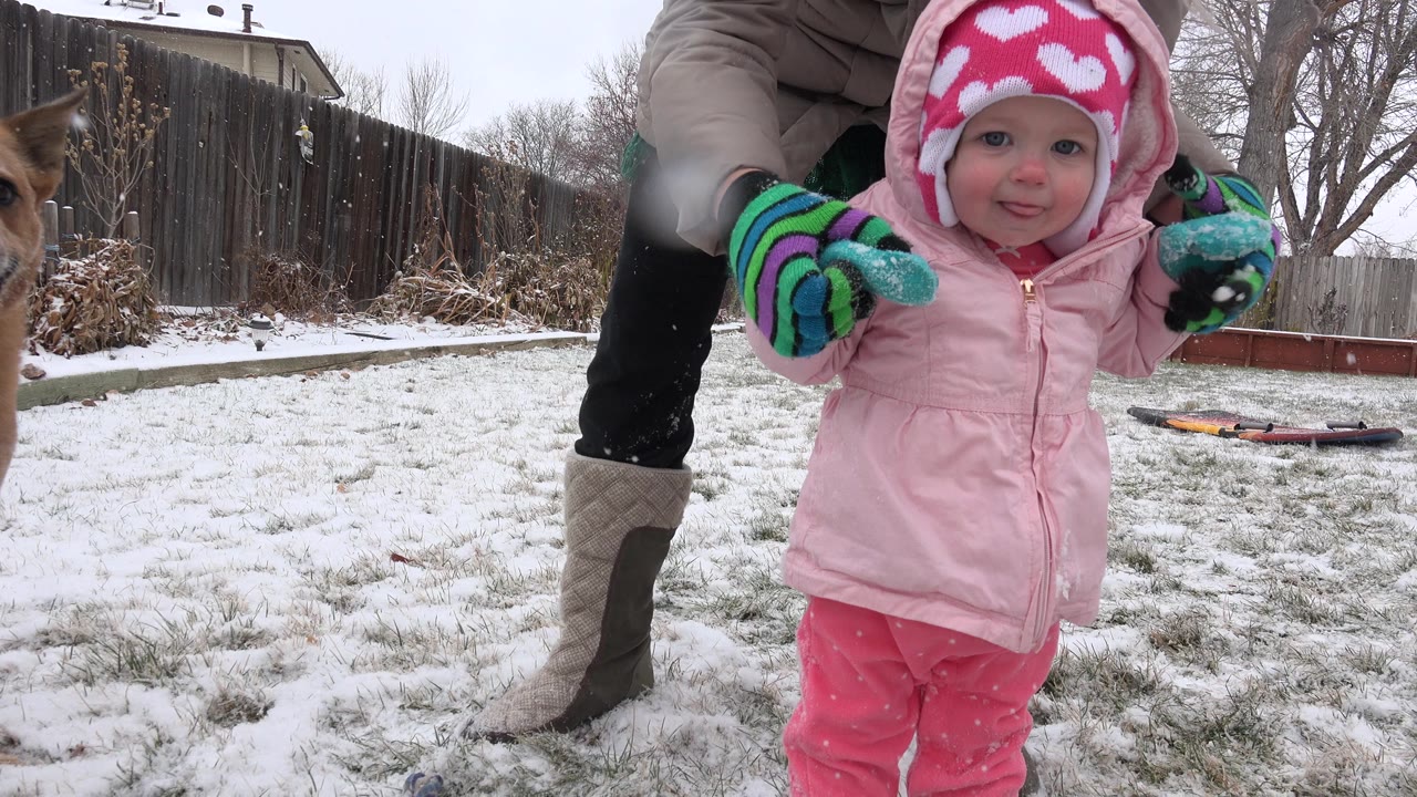 The child in a pink coat and heart-pattern hat faces the camera in Westminster, Colorado, while a dog stands near the right side and an adult remains partly visible behind her.