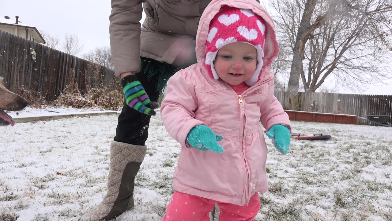 At 0:00 in Westminster, Colorado, a toddler in a pink coat and teal mittens walks toward the low camera while an adult stands cropped behind her in a snowy fenced yard.