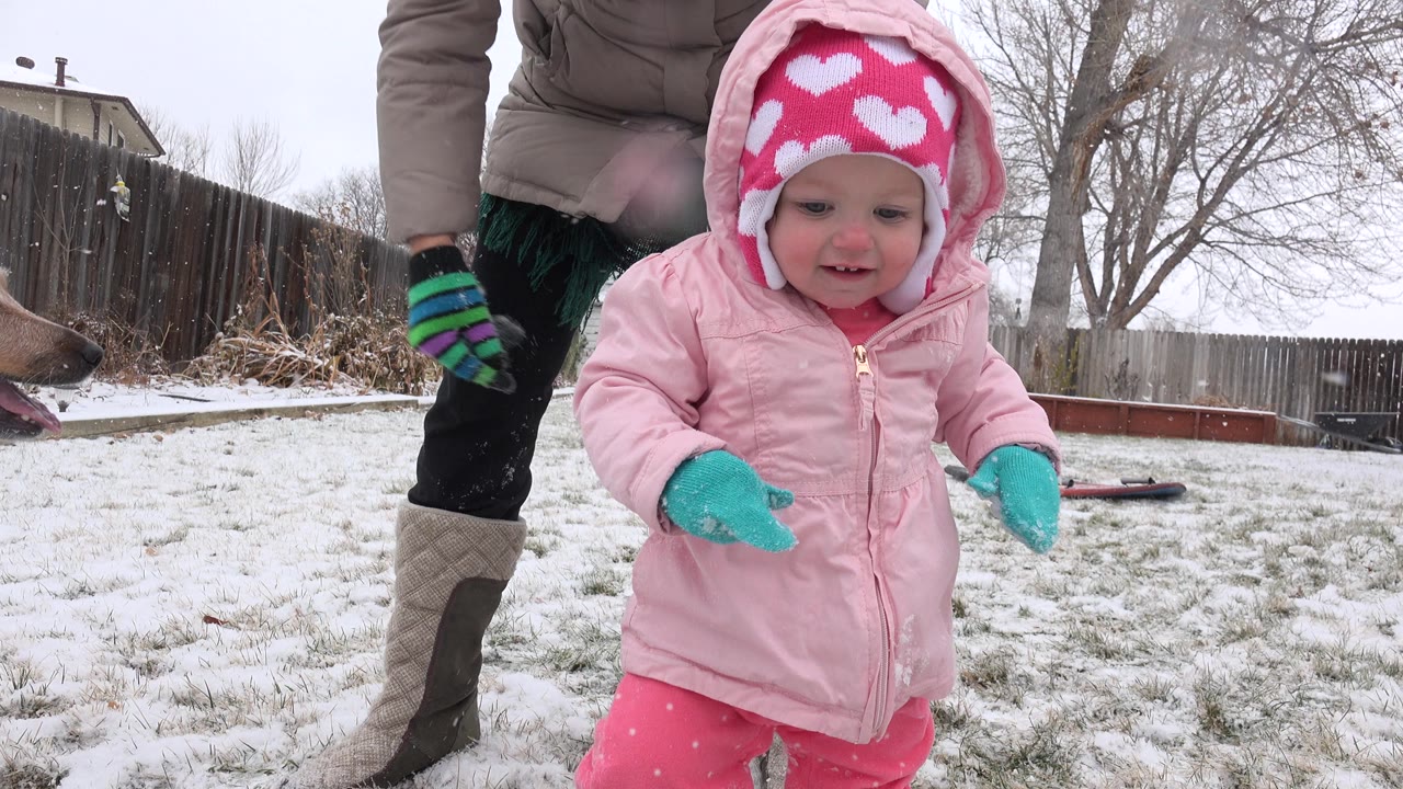At 0:01 in Westminster, Colorado, the bundled toddler is closer to camera with both mittens raised, while the adult remains partly visible beside the snowy grass and fence.