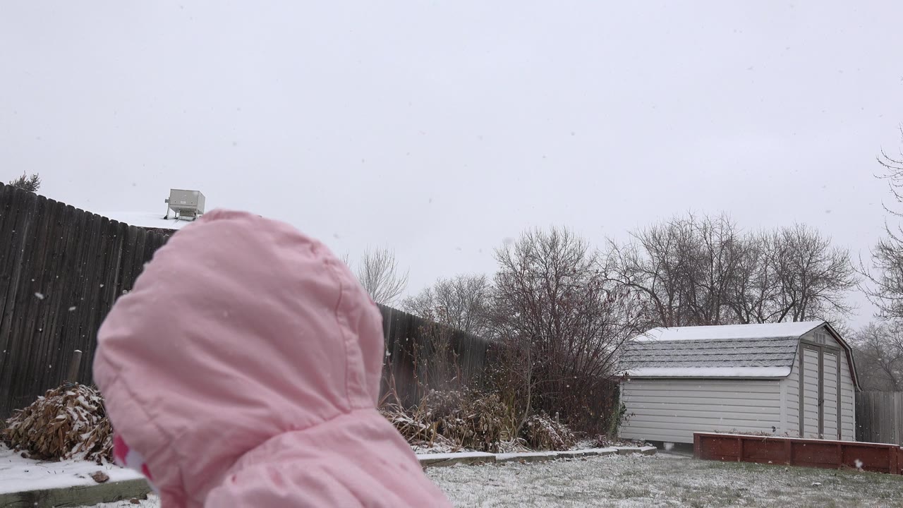 A child in a pink hooded snowsuit is partly visible at the left edge of a snowy Westminster, Colorado backyard with a dark fence, bare trees, and a white shed.
