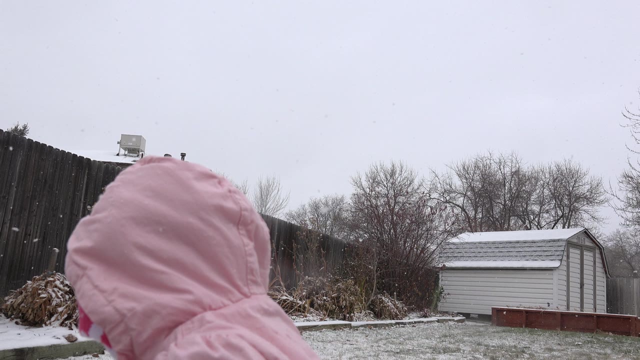 The pink hood of the child fills the lower foreground while a snow-dusted shed, dark fence, and bare trees remain visible in the Westminster, Colorado yard.