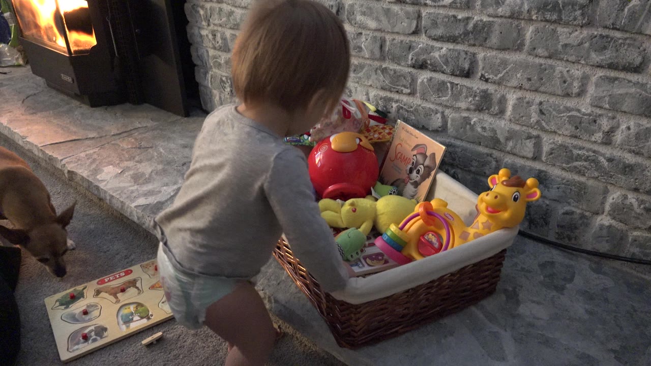 Toddler beside toy basket with small dog near fireplace.