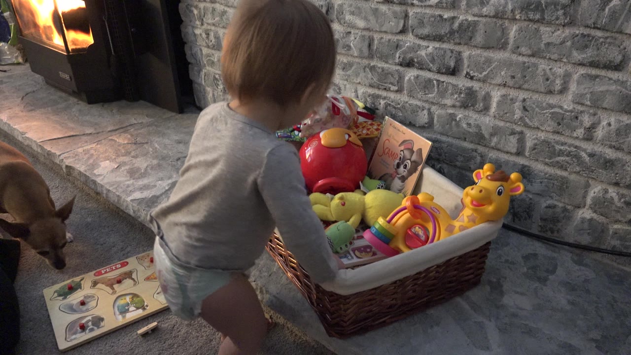 The toddler leans toward the toy-filled wicker basket while the small dog stands near the right side of the hearth in the Westminster, Colorado home scene.