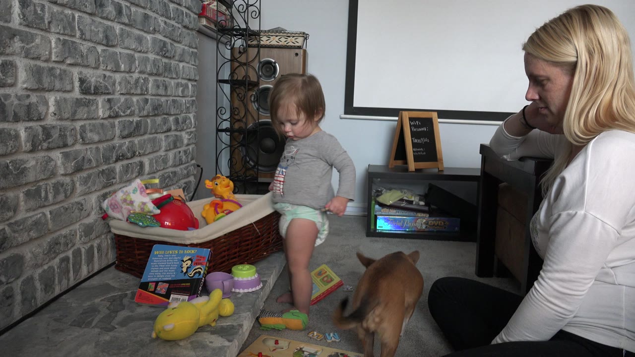 Toddler stands beside a basket of toys while a woman sits nearby and a small dog lowers its head.