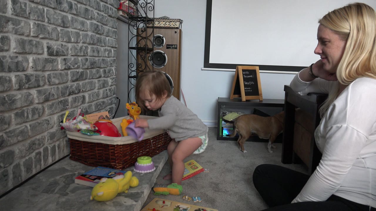 In Westminster, Colorado, the baby leans toward the toy basket as the mother remains seated at frame right and the brown dog sniffs near furniture in the background.