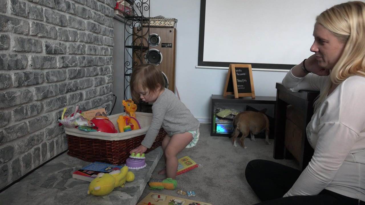 In Westminster, Colorado, the toddler leans over the toy basket while the seated woman looks on and a small brown dog faces a low shelf near the back wall.