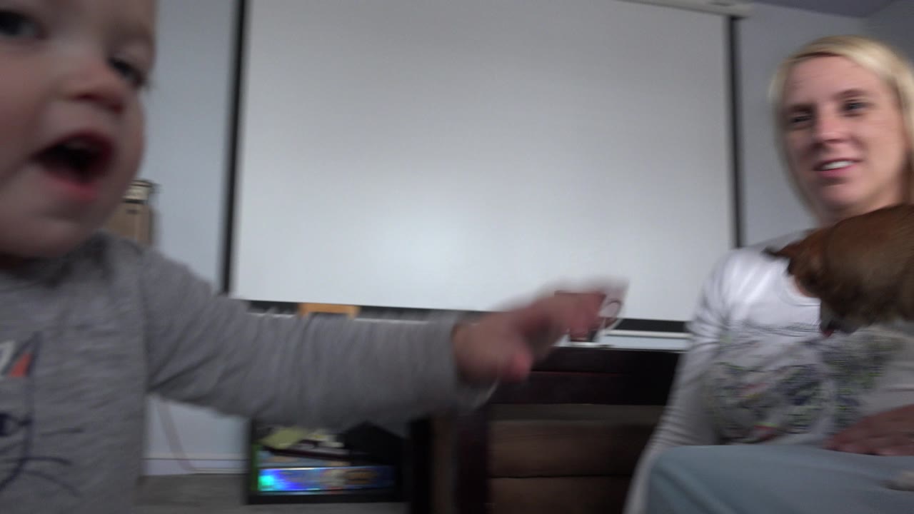 At 0:00 in Westminster, Colorado, a baby fills the foreground while a blonde woman and brown dog sit behind him in a carpeted room with a projector screen.